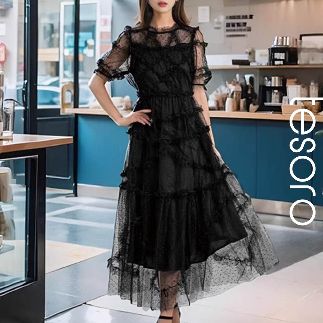 Elegant Sheer Dot Lace Dress